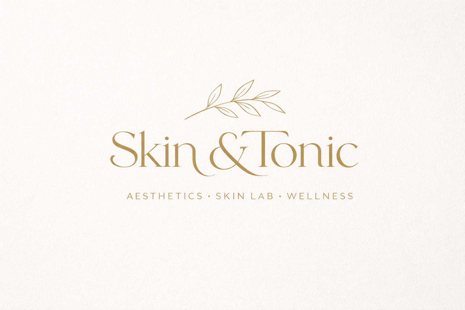 Skin and Tonic Logo
